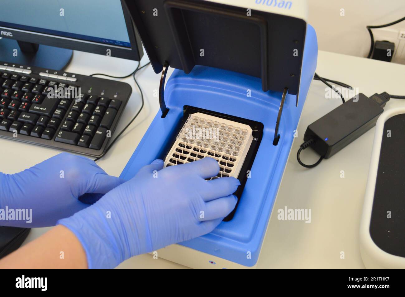 Ein Arzt in einem blauen, sterilen Handschuh legt eine Platte mit einem Reagenz in das Gerät, um die Untersuchung durchzuführen. Laboranalysator. Venenbluttest. Stockfoto