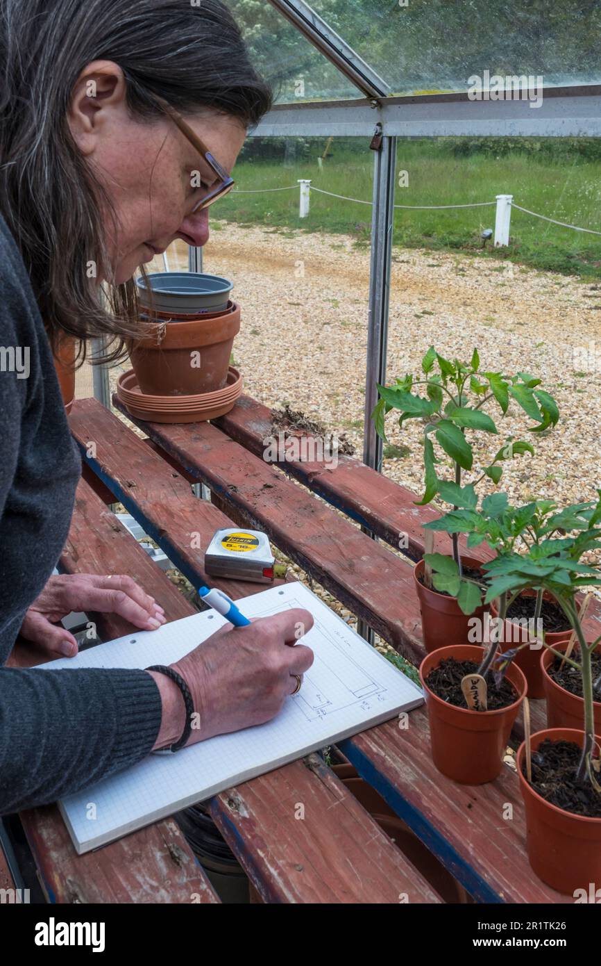 Frau, die plant, die Pflanzen in ihrem Gewächshaus für die kommende Saison zu planen. Stockfoto