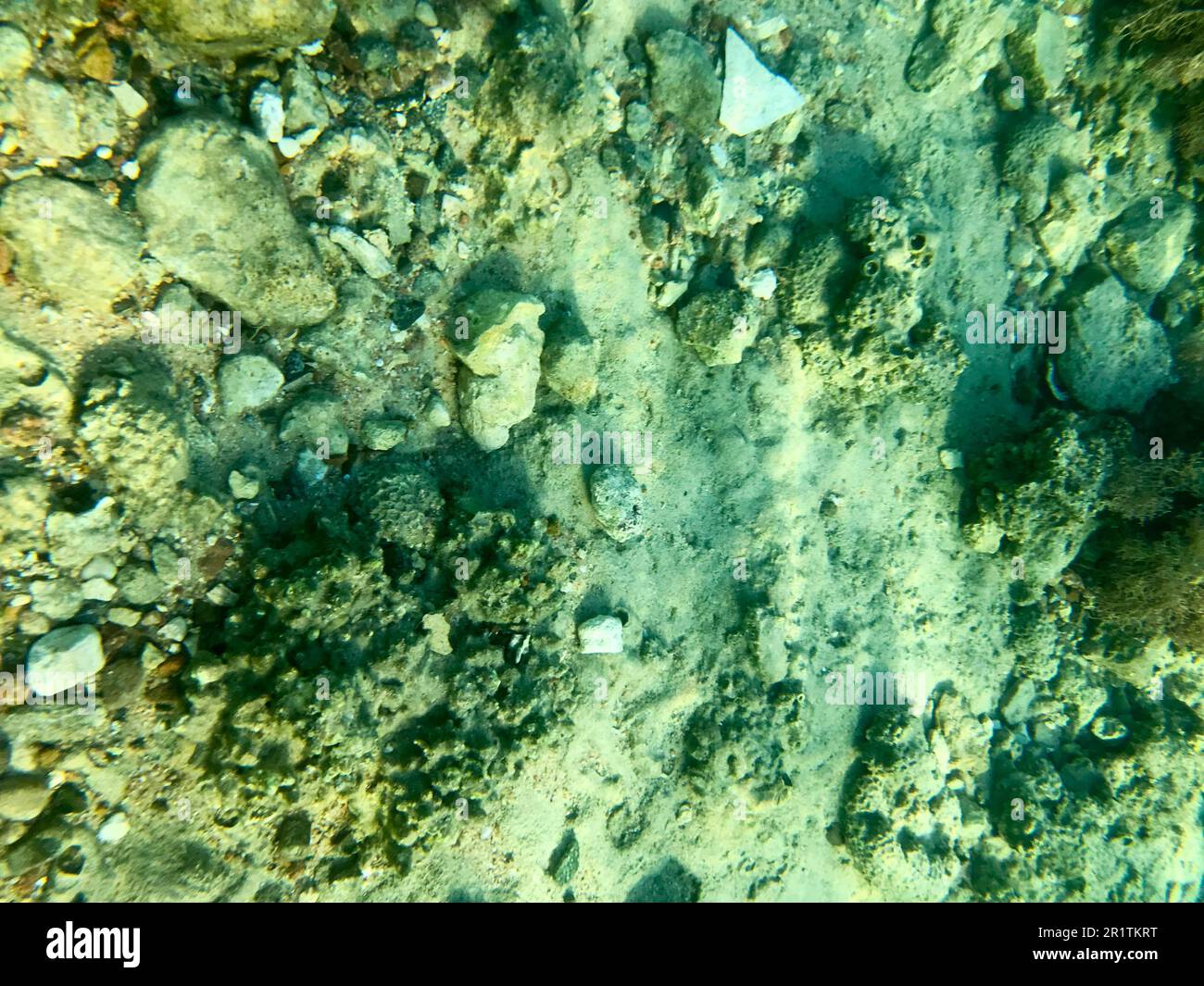 Struktur aus Steinen, Erde, Meeresboden mit Korallenriffen und Algen unter blauem grünem Wasser, Unterwasserblick auf das Meer, das Meer in einem tropischen Resort. Die Stockfoto