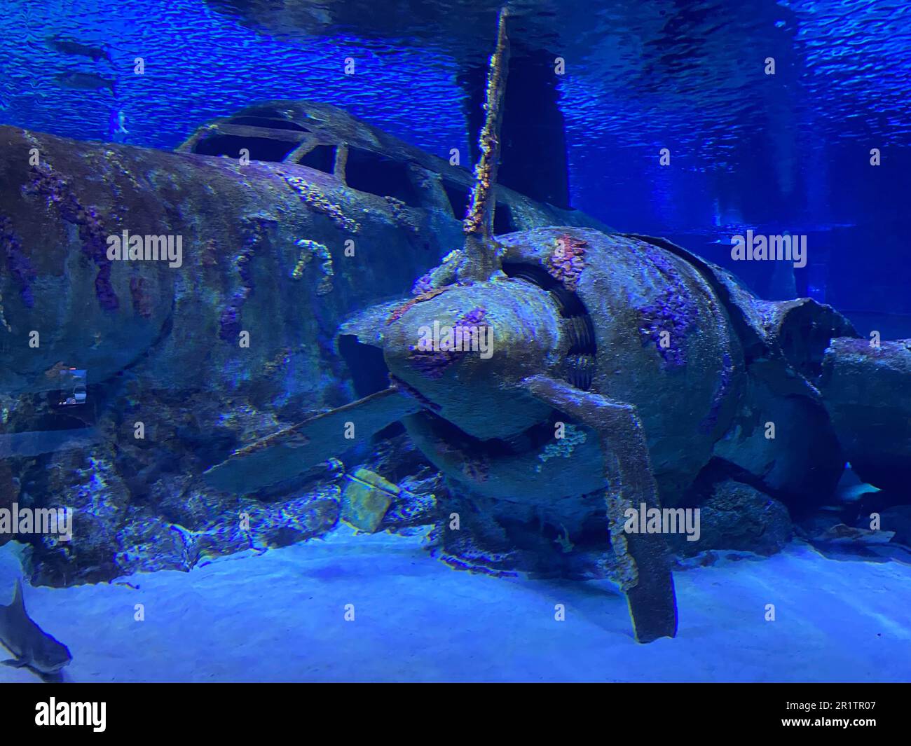 Versenktes Flugzeug unter Wasser im Aquarium Antalya der Türkei. Stockfoto