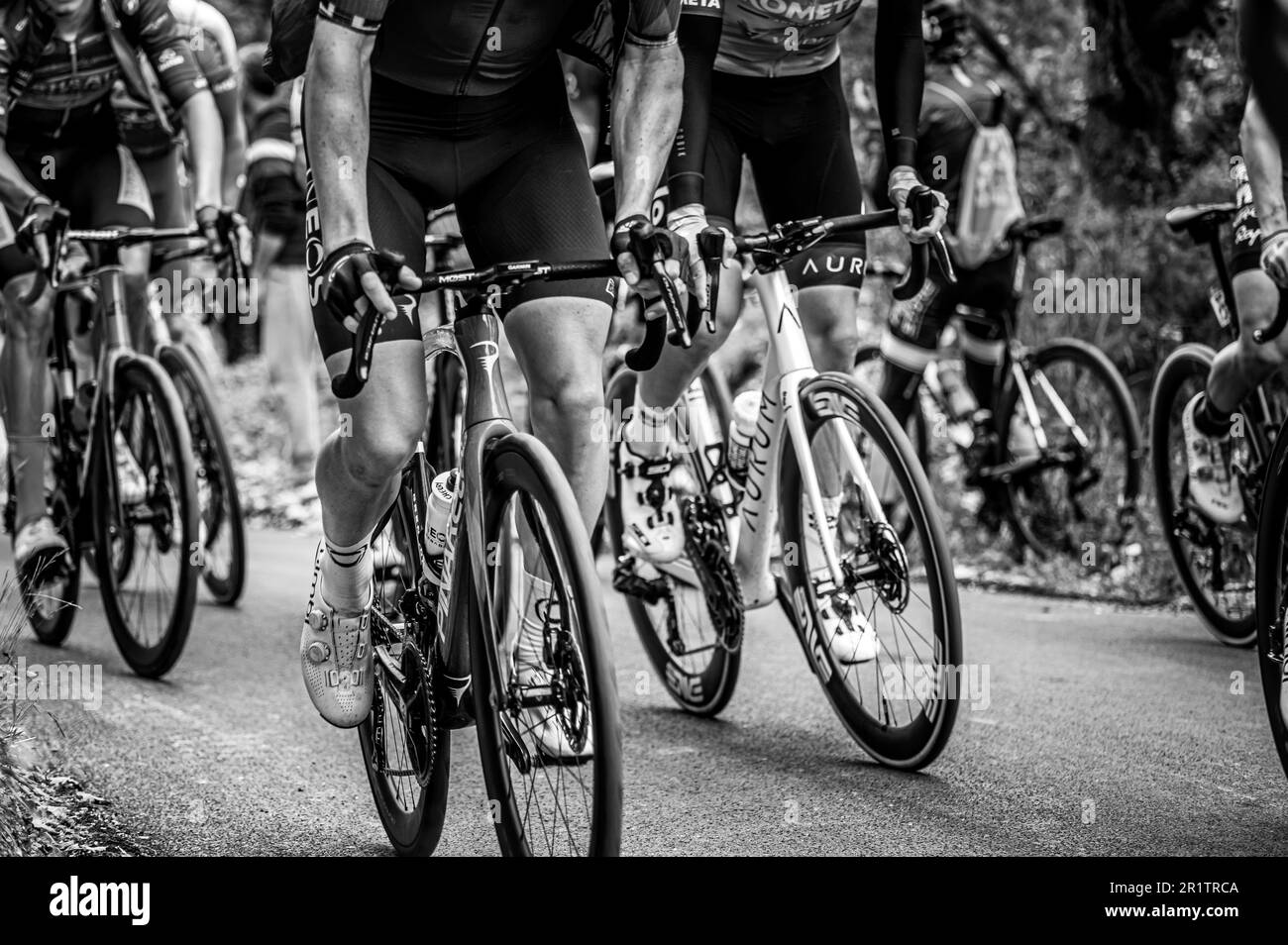 Italien, 13. Mai 2023: Professionelle Radfahrer stehen vor der achten Etappe des Giro d'italia 2023 in Fossombrone Pesaro marche. Thomas, Evenepoel, Roglic, Za Stockfoto