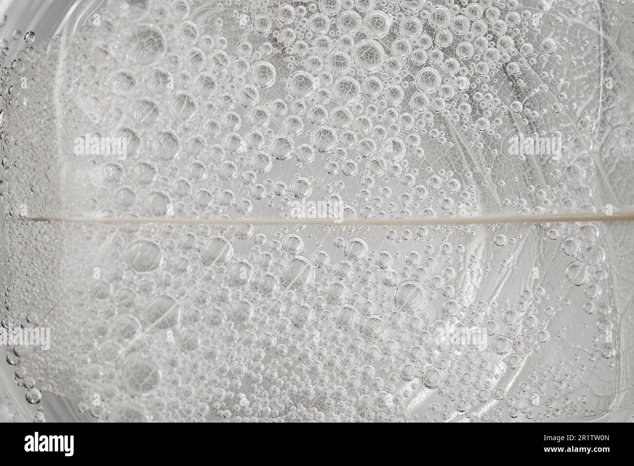 Skelettblattstruktur in sprudelndem Wasser, abstrakte Bläschenstruktur, weicher Fokus Nahaufnahme Stockfoto