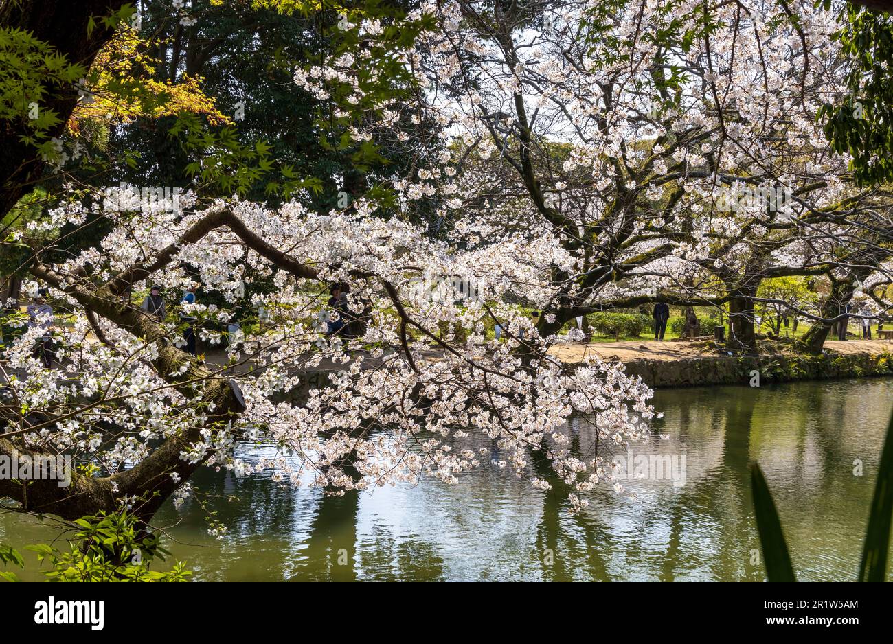 Ritsurin-Garten in Takamatsu, Präfektur Kagawa, Japan, einer der berühmtesten historischen japanischen Gärten. Stockfoto