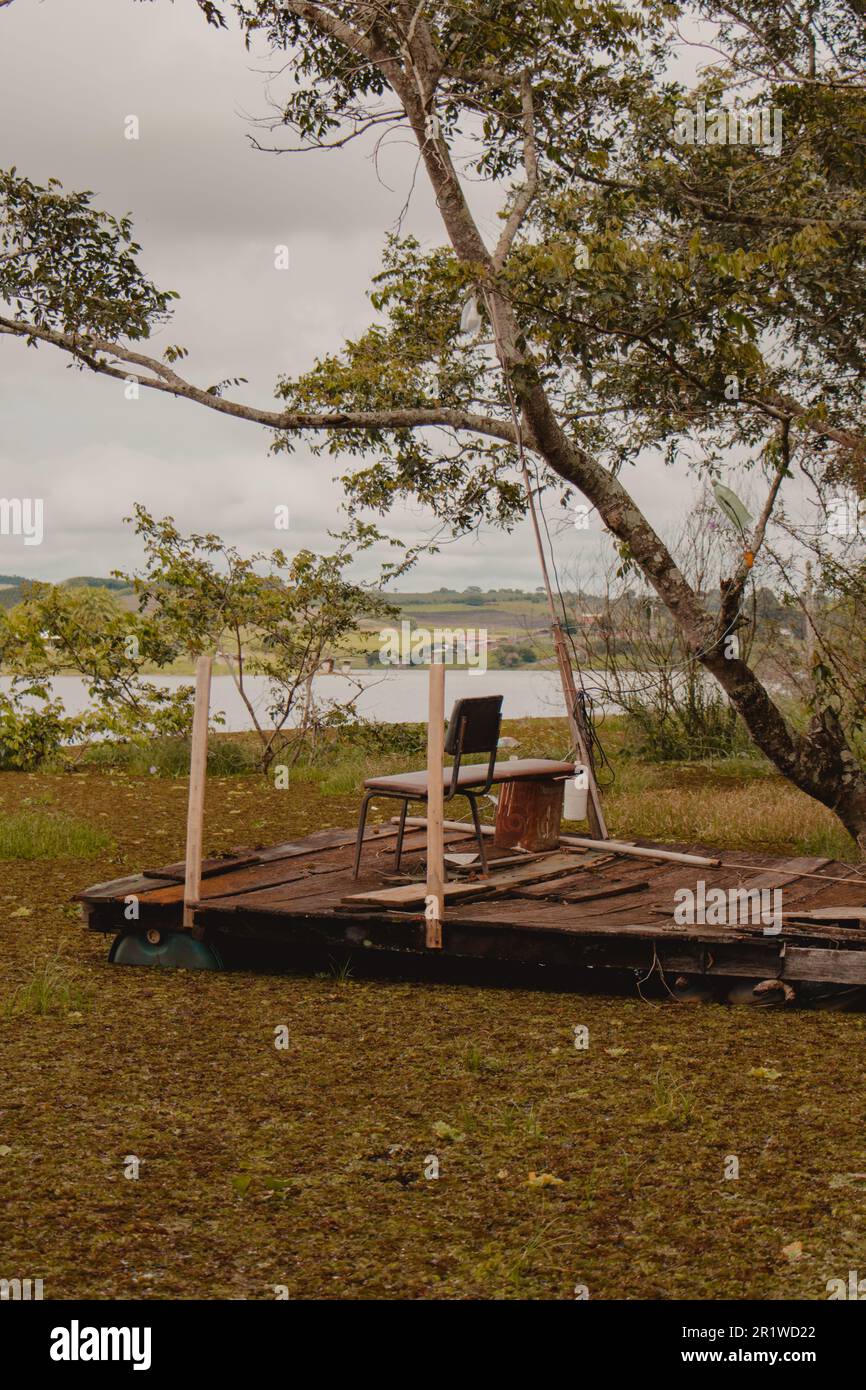 Holzplattform, die von Wasserpflanzen übernommen wird Stockfoto