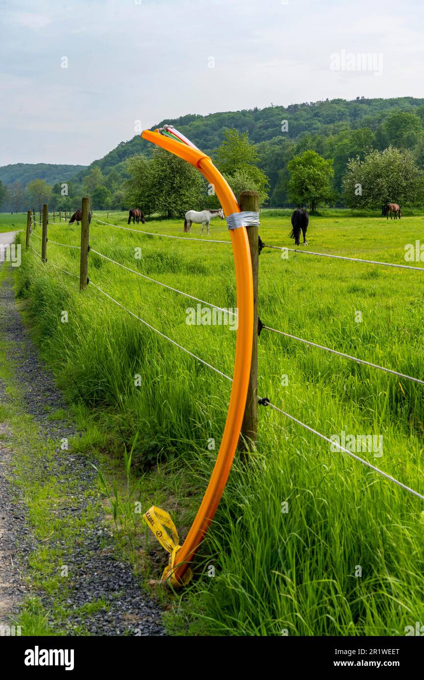 Glasfaserkabel, frisch verlegt auf einem Feldweg, an einer Pferdekoppe, warten auf weitere Erweiterung, Bereitstellung von schnellem Internet in ländlichen Gebieten, Mülh Stockfoto