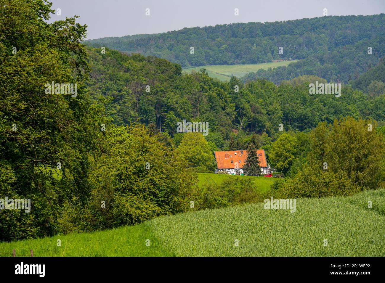 Wohnhaus, Fachwerkhaus, Elfringhauser Schweiz, auf Schanzerweg, Hattingen, NRW, Deutschland Stockfoto