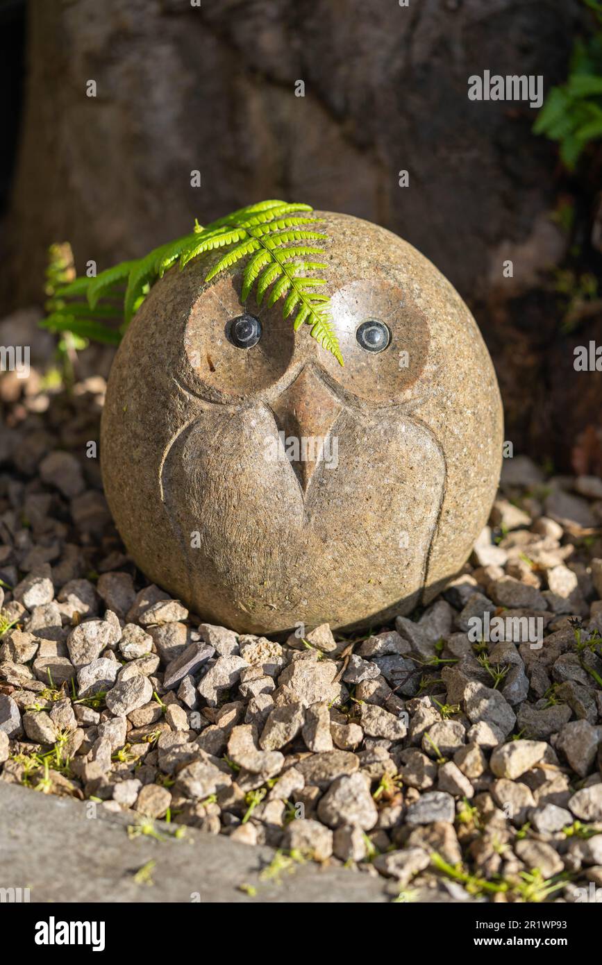 Steineifen, Gartenelemente, Granit, Vögel, Ornamente, Süßer Vogel, um Bäume gewickelt, schwarze Augen, süßer kleiner Garten, Karikaturen, Farne als Haar Stockfoto