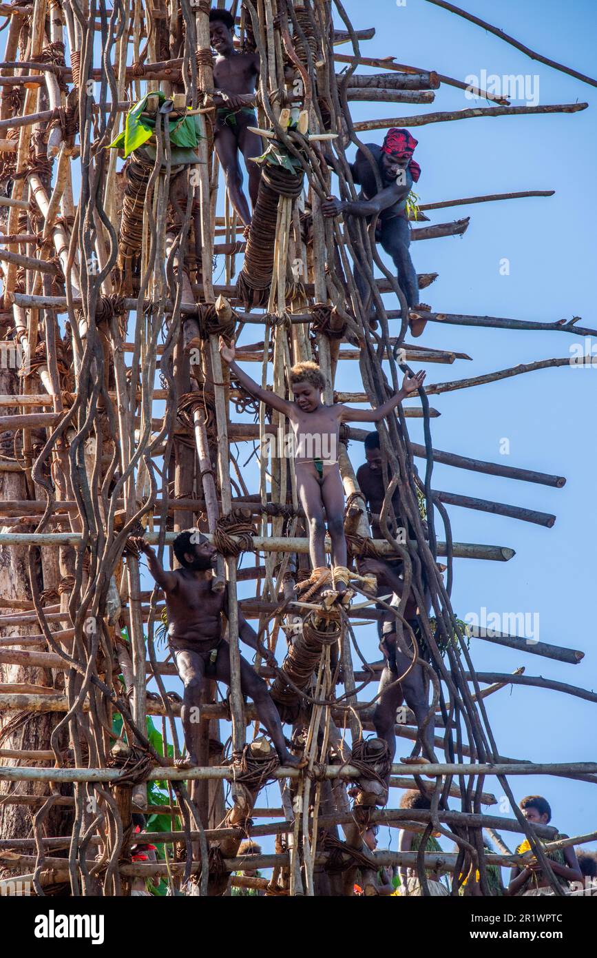 Vanuatu, Pfingstinsel. Uraltes Ritual des Tauchens an Land. Ein sehr kleiner Junge, der sich bereit macht, vom Turm zu springen. Stockfoto