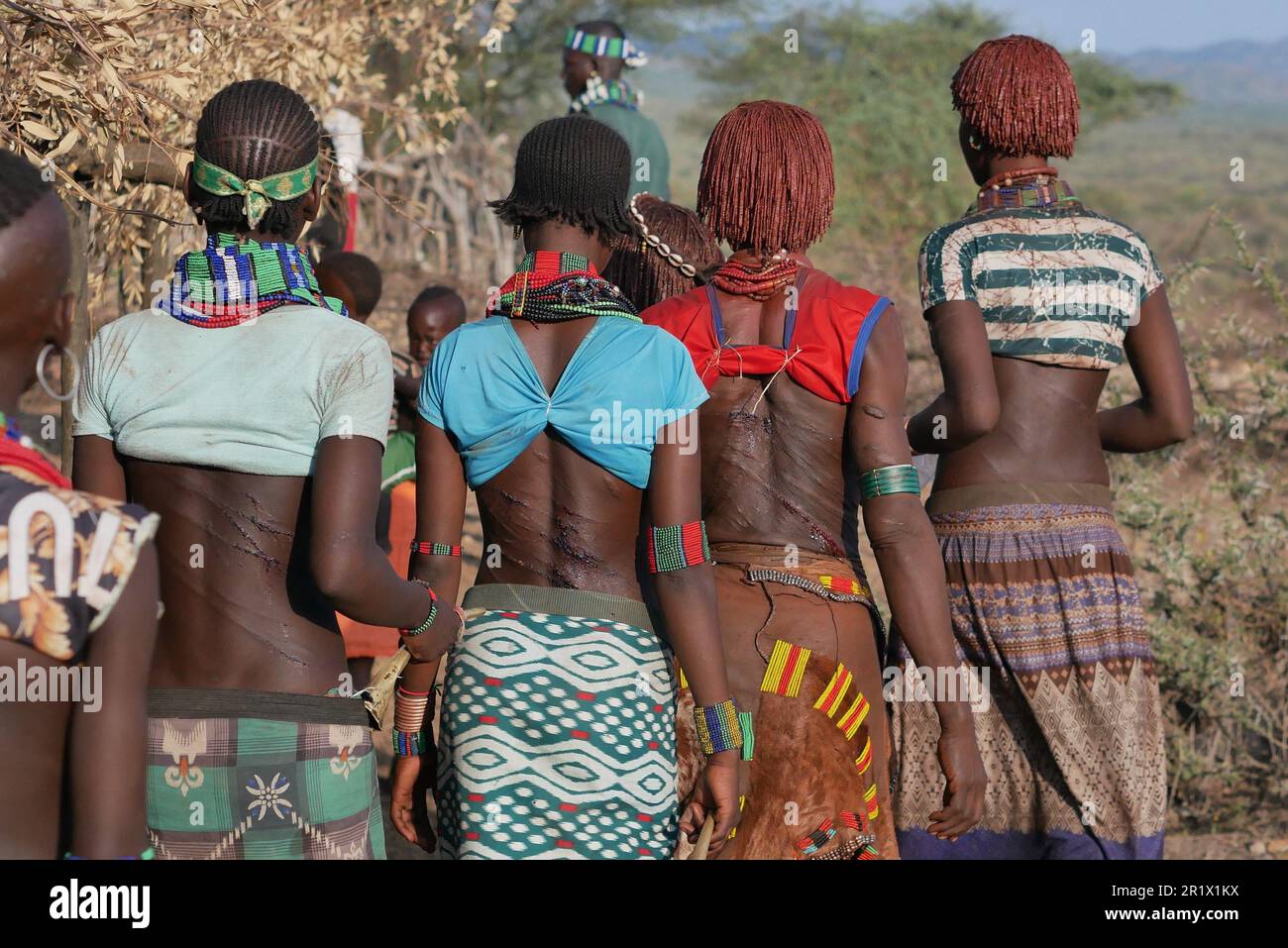 Omo Valley, Äthiopien â€“ 11.19.2022: Frauen aus dem Hamar-Stamm, die während der Stierspringen-Zeremonie vom Peitschenritualgesang und Tanz gezeichnet wurden Stockfoto