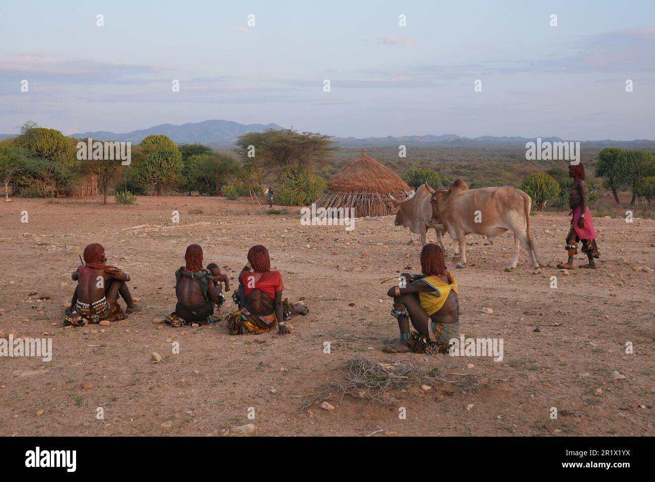 Omo Valley, Äthiopien â€“ 11.19.2022: Frauen aus dem Hamar-Stamm während der Stierspringen-Zeremonie Stockfoto