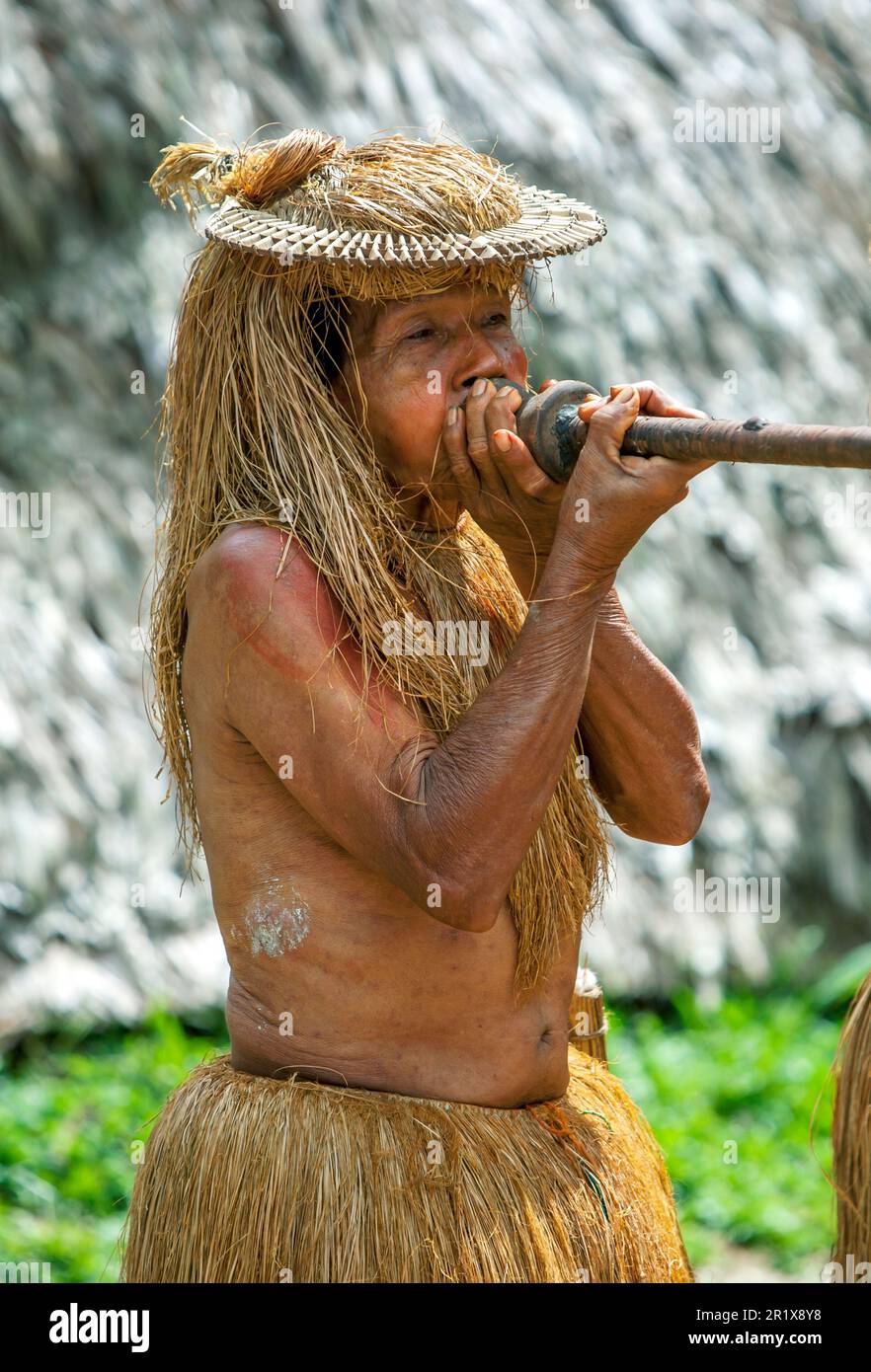 Ein indischer Stammesangehöriger aus dem Dorf Yagua am Amazonas in der Nähe von Iquitos in Peru demonstriert die Verwendung einer Pucuna oder eines Blasrohrs. Stockfoto