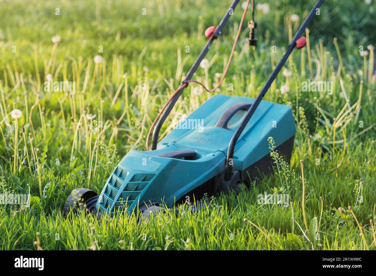 Rasenmäher im Garten. Nahaufnahme. Sommer- und Frühlingsgartenzeit Stockfoto