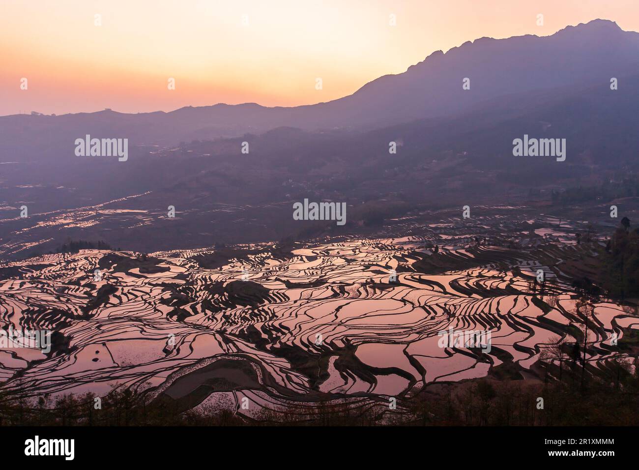 Malerischer Blick aus der Vogelperspektive auf die Reisterrassen von Yuanyang bei Sonnenaufgang, dramatische Reflexionen am Himmel auf der Oberfläche der Reisterrassen. Duoyishu, China. Stockfoto