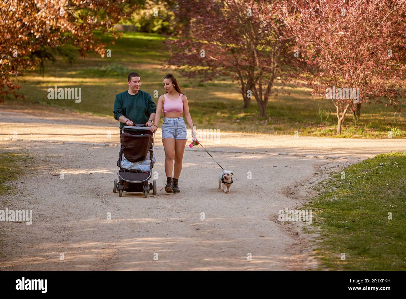 Ein junges Paar mit einem Baby im Kinderwagen und einem Hund, der an einem sonnigen Sommertag einen gemütlichen Spaziergang durch den Park macht Stockfoto