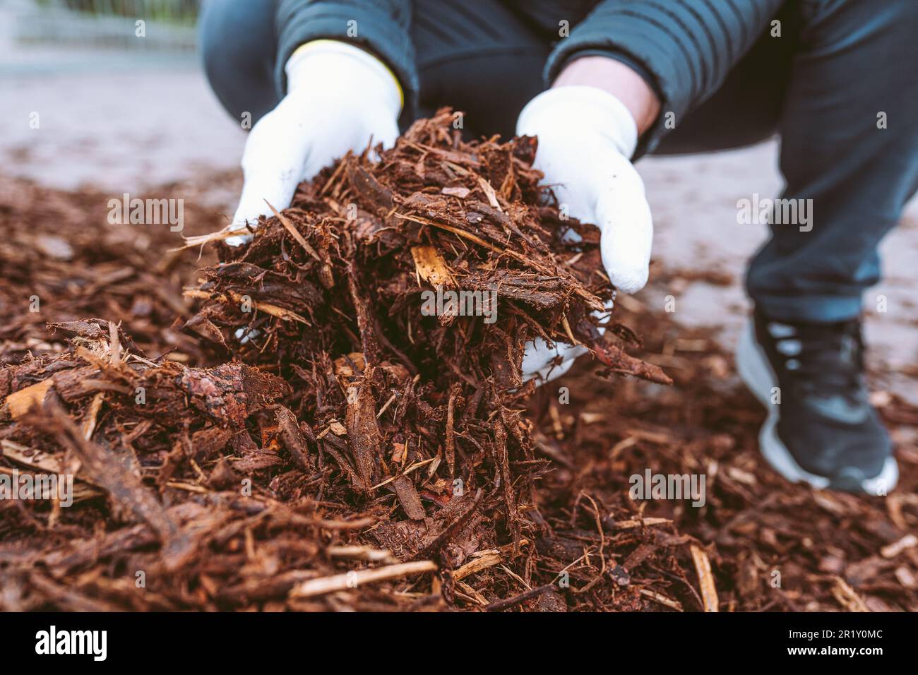 Holzspäne im Handgärtner Stockfoto