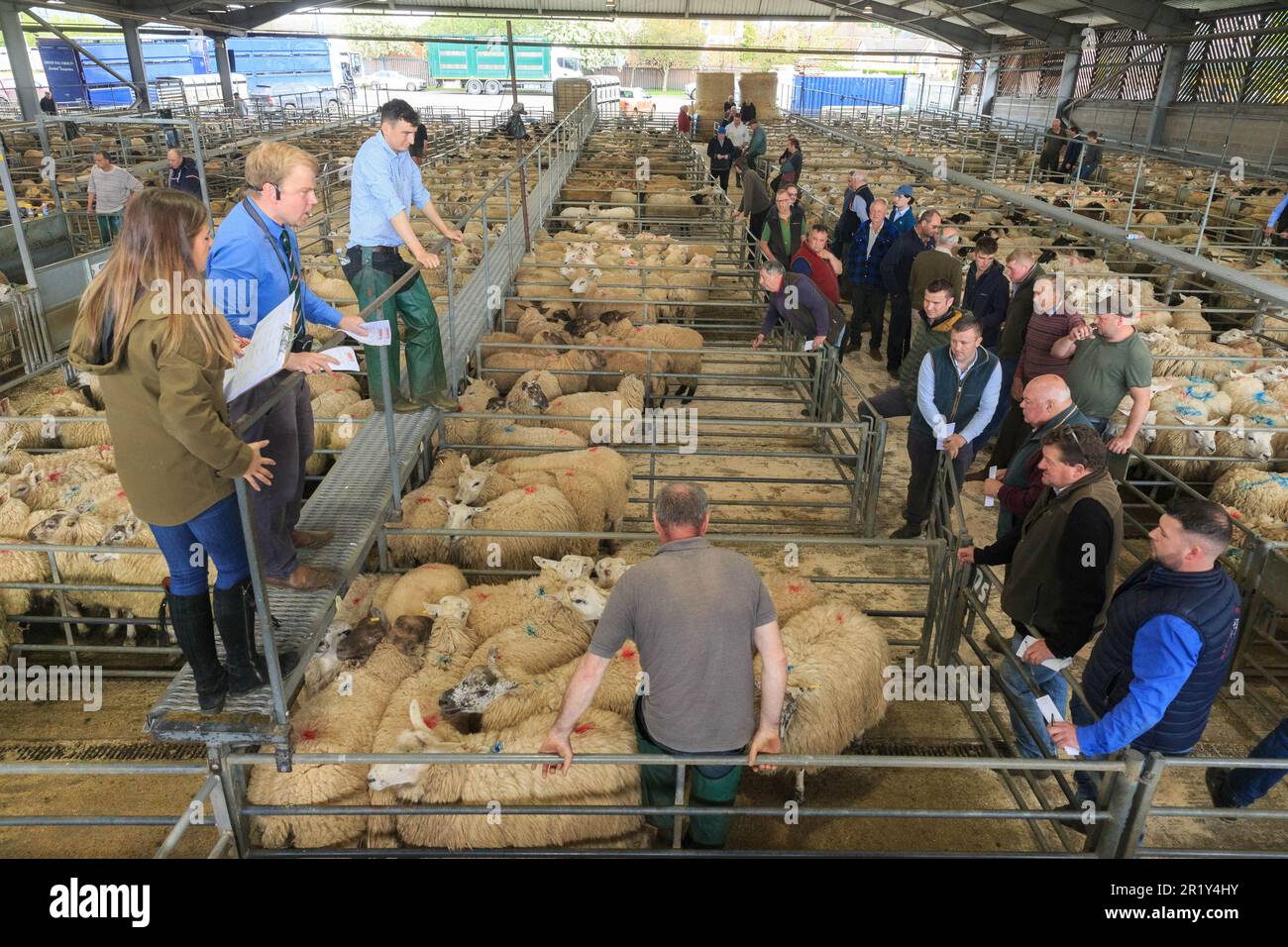 Melton Mowbray Viehmarkt, Leicestershire Stockfoto