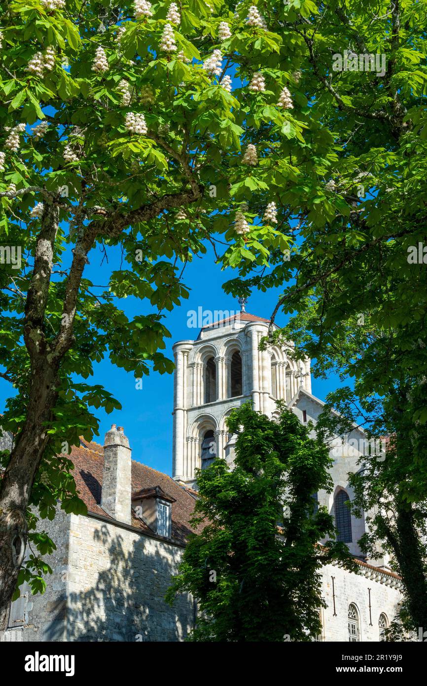 Vezelay . La Tour Saint Antoine der Basilika St. Mary Magdalena. UNESCO-Weltkulturerbe. Via Lemovicensis. Yonne . Bourgogne Franche Comte. Frankreich Stockfoto