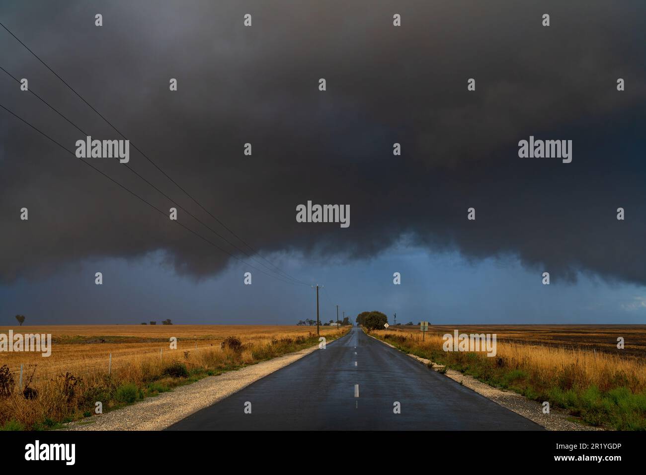 Blick auf eine Landstraße in Richtung einer sich nähernden dunklen Sturmwolke am Moolort in Central Victoria, Australien Stockfoto