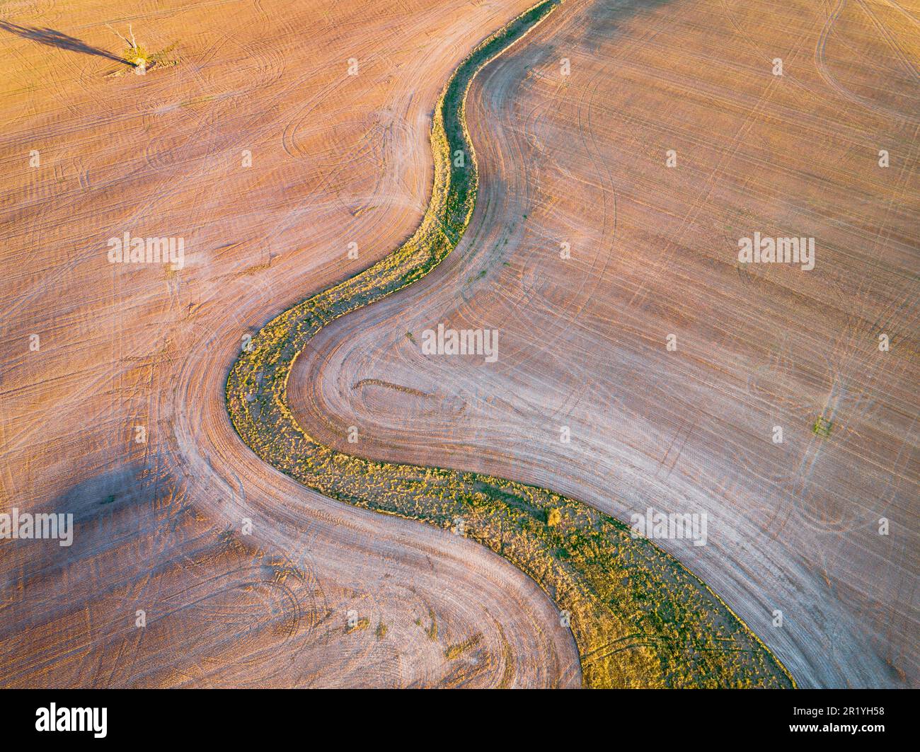 Luftaufnahme eines grünen Gürtels durch das gepflügte Feld bei Dimboola in Victoria, Australien Stockfoto