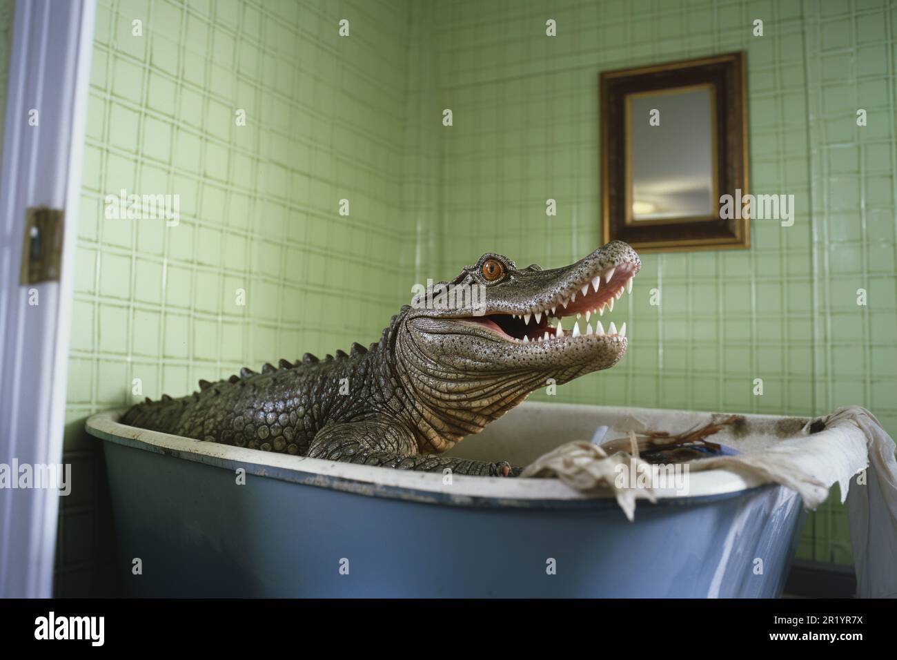 Verspieltes Krokodil in der Badewanne, eigenartige Einrichtung im Badezimmer Stockfoto