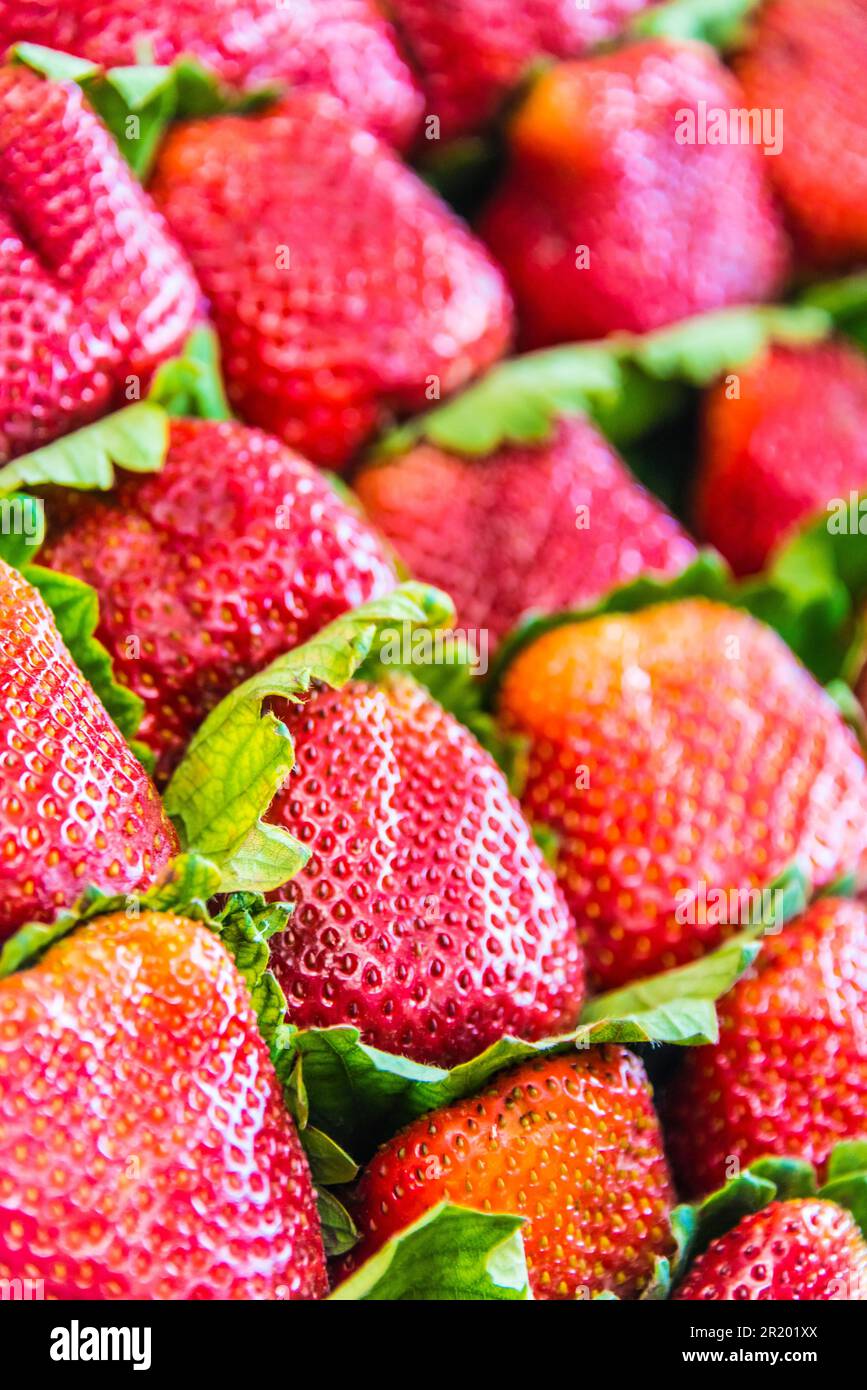 Erdbeeren, die auf dem Straßenmarkt verkauft wurden Stockfoto