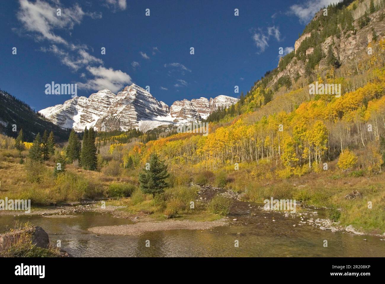 Aspen Trees in den Herbstfarben Maroon Bells, Colorado, schneebedeckte Berge Stockfoto