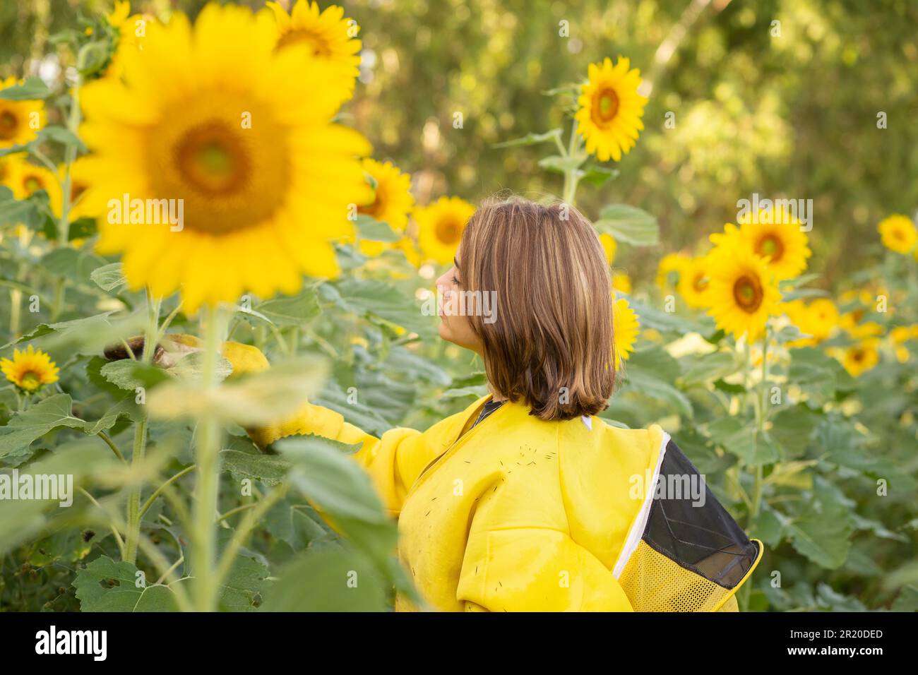 Bela Vista de Goias, Goias, Brasilien – 11. Mai 2023: Imker in charakteristischer Kleidung, Besuch einer Sonnenblumenplantage. Stockfoto