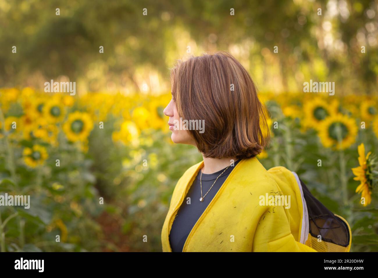 Bela Vista de Goias, Goias, Brasilien – 11. Mai 2023: Imker in charakteristischer Kleidung, Besuch einer Sonnenblumenplantage. Stockfoto