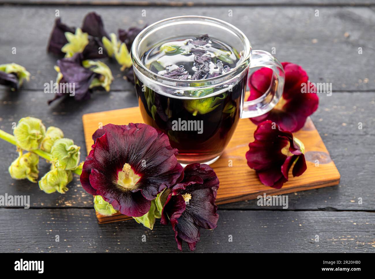 Pflanzliches medizinisches Teegetränk aus Malva sylvestris L. bekannt als Gemeiner Mallow, Käse, hoher Mallow und hoher Mallow. Glasbecher mit Tee auf Schwarz. Stockfoto