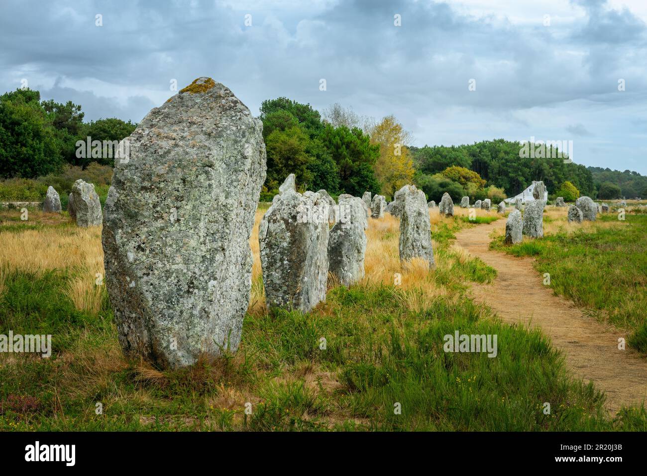 Stehende Steine (oder Menhirs) in der Menec-Ausrichtung in Carnac, Morbihan, Bretagne, Frankreich Stockfoto
