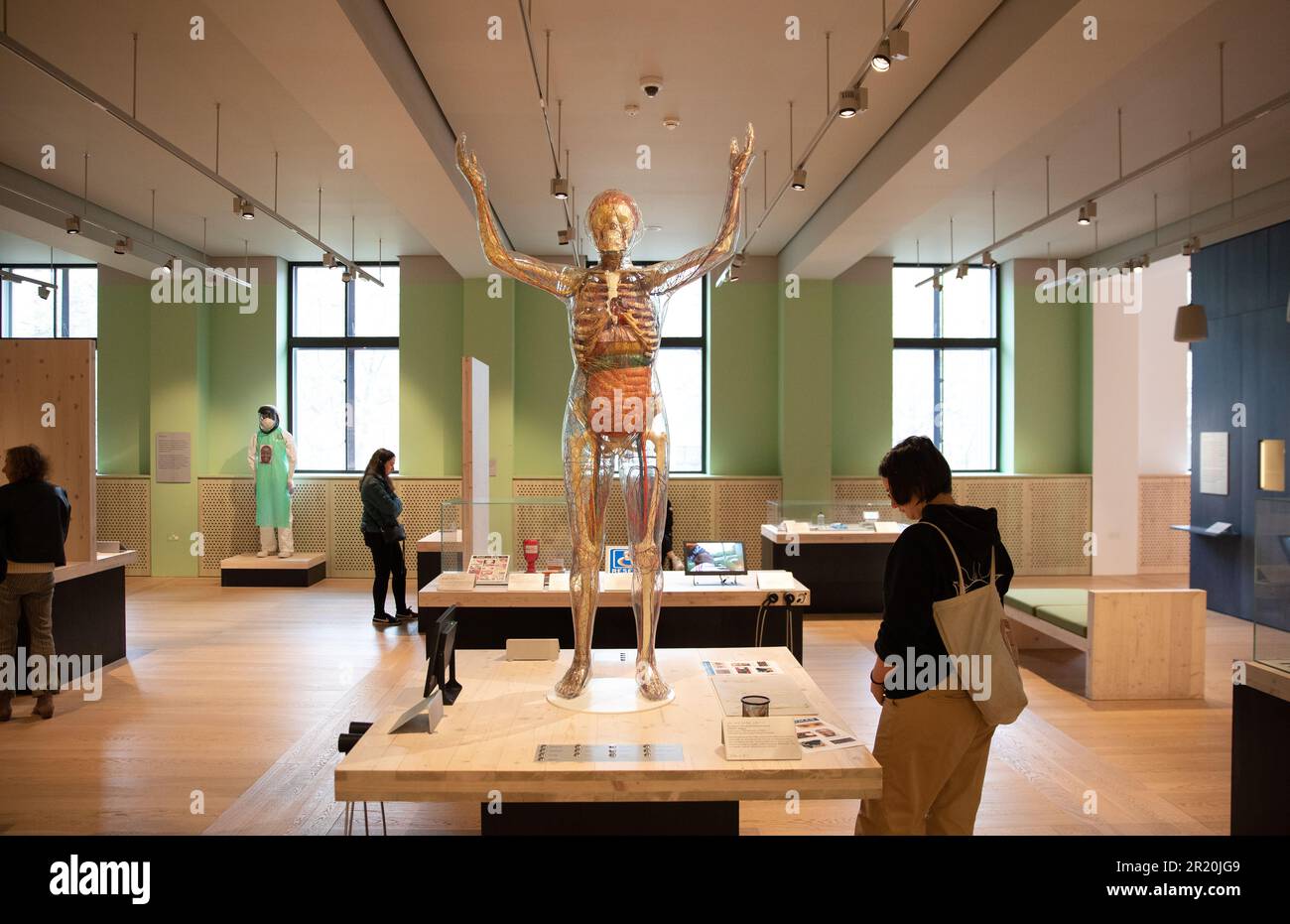 Wellcome Collection, London. Stockfoto