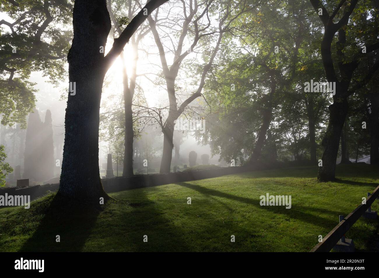 Ein launischer, nebiger Friedhof am frühen Septembermorgen Stockfoto
