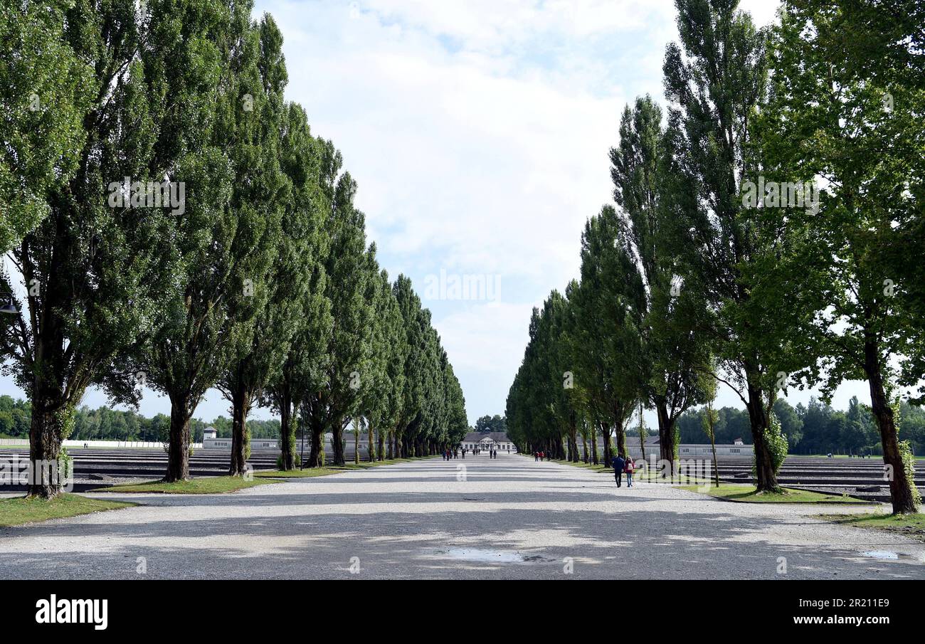Foto einer von Bäumen gesäumten Straße im KZ Dachau. Das Lager war das erste der 1933 eröffneten Konzentrationslager der Nazis. Die ursprüngliche Absicht des Lagers bestand darin, politische Gefangene festzuhalten. Stockfoto