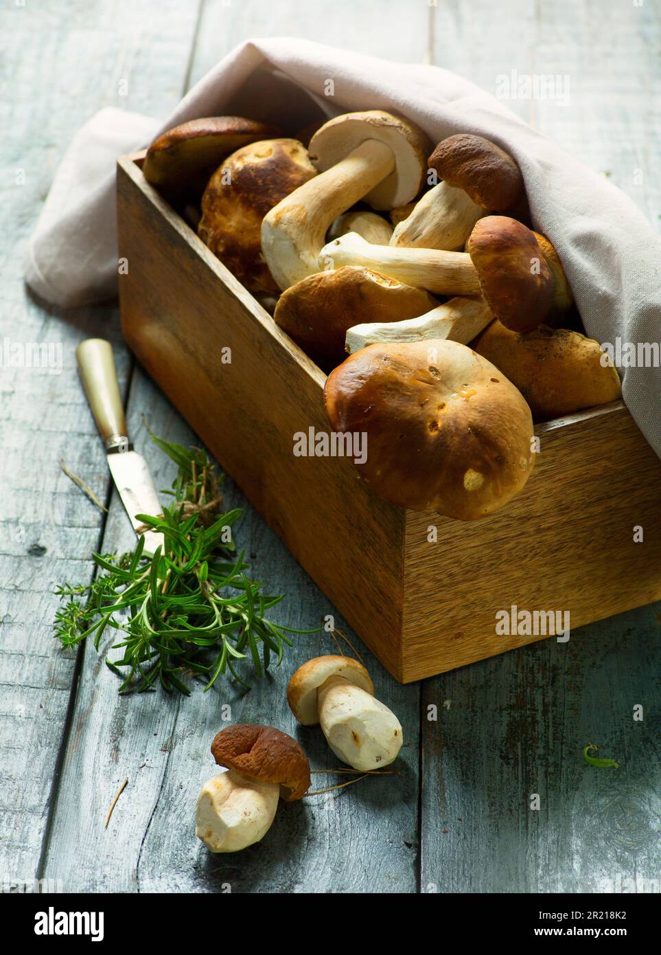 Korb mit frischen Schweinefilzen im Sommer oder Herbst; cep-Pilze und Gewürzkräuter auf einem Holztisch; italienisches Rezept Stockfoto