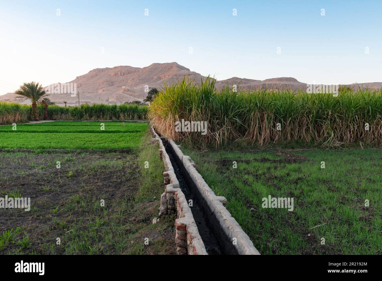 Luxor, Ägypten. 13. Dezember 2022. Ein ägyptisches Bewässerungssystem zur Kanalisierung des Wassers vom Nil zu Zuckerrohrplantagen im ländlichen Oberägypten. (Credit Image: © John Wreford/SOPA Images via ZUMA Press Wire) NUR ZUR REDAKTIONELLEN VERWENDUNG! Nicht für den kommerziellen GEBRAUCH! Stockfoto
