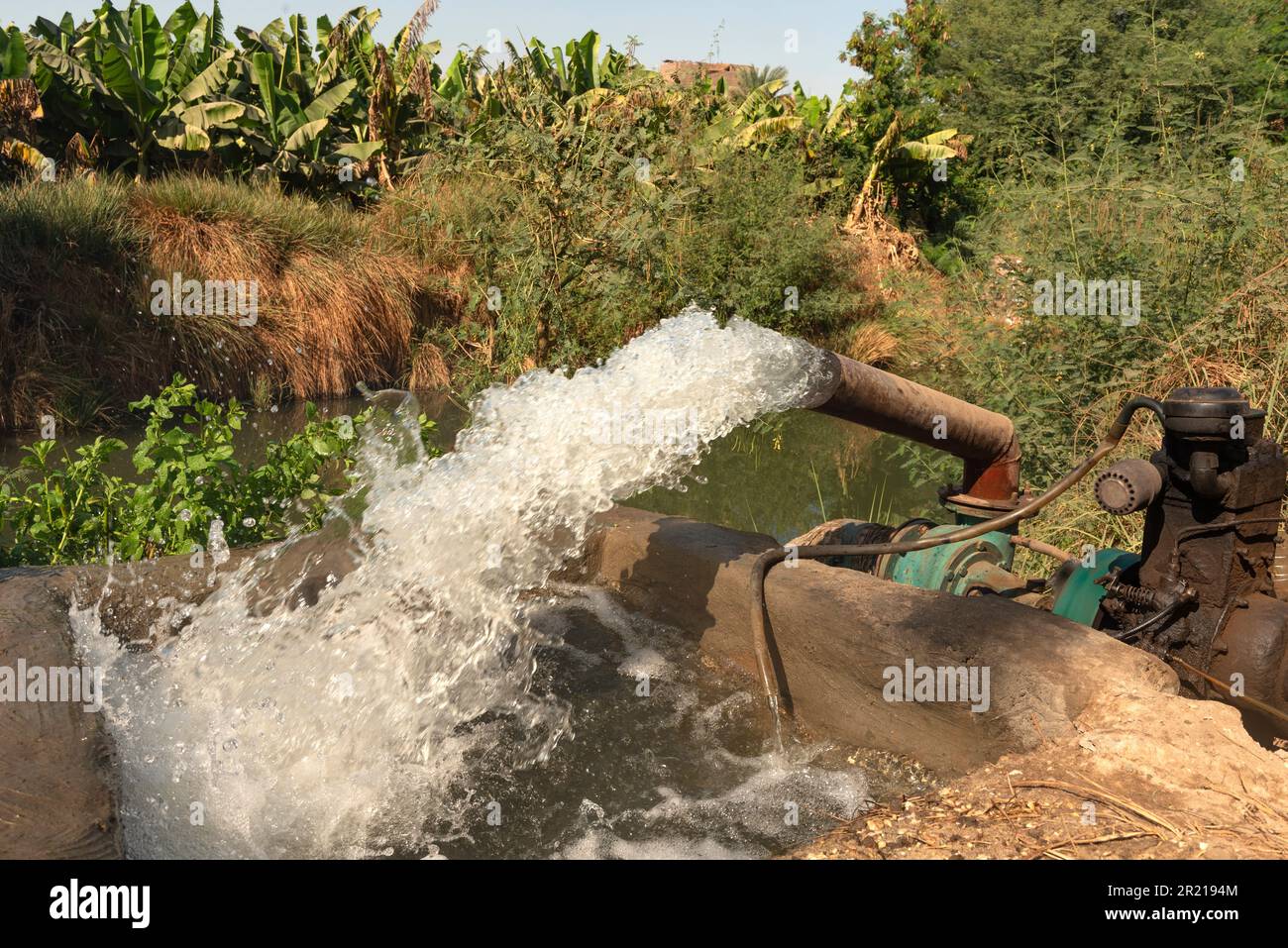 Oberägypten, Ägypten. 14. Dezember 2022. Wasser wird aus dem Nil in Bewässerungskanäle gepumpt, um wasserintensive Pflanzen von Bananen zu versorgen, die auf Plantagen in Oberägypten angebaut werden. (Credit Image: © John Wreford/SOPA Images via ZUMA Press Wire) NUR ZUR REDAKTIONELLEN VERWENDUNG! Nicht für den kommerziellen GEBRAUCH! Stockfoto