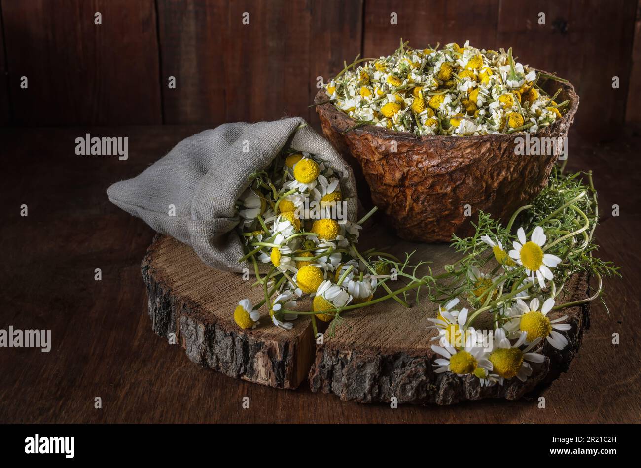 Schüssel mit gerupften Gänseblümchen und ein paar Gänseblümchen Stockfoto
