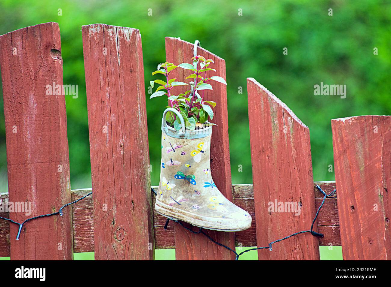 Gartenpflanzen in Kinderwelltons, um bunte Gartendekorationen als Töpfe zu machen Stockfoto