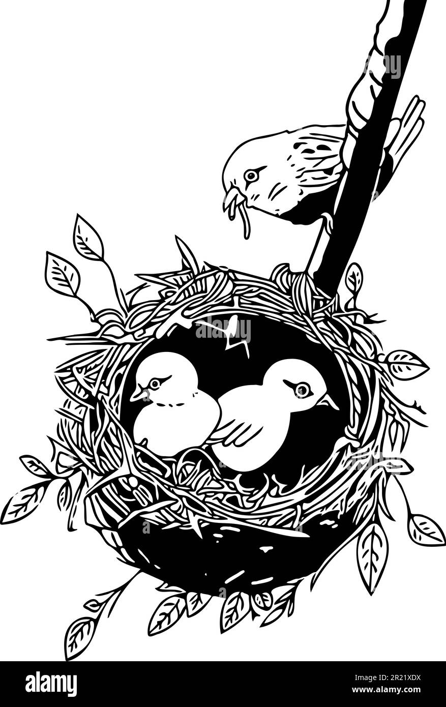 Vogelnest mit zwei Mädels. Vogel-Mutter füttert die Küken mit einem Wurm, den sie im Schnabel hat. Umrissvektor mit schwarzer Farbe vor transparentem Hintergrund. Stock Vektor