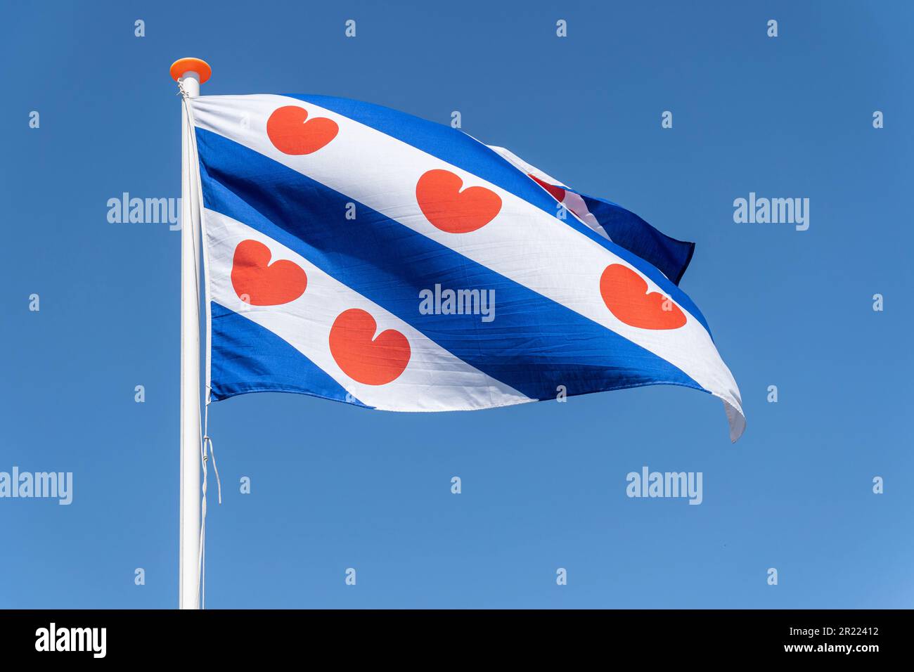 Flagge der niederländischen Provinz Friesland, die im Wind fliegt Stockfoto