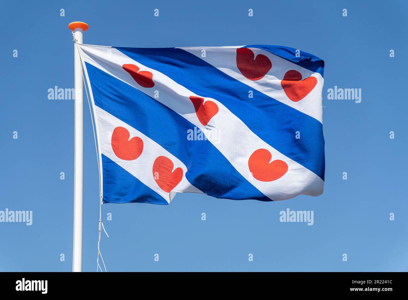 Flagge der niederländischen Provinz Friesland, die im Wind fliegt Stockfoto