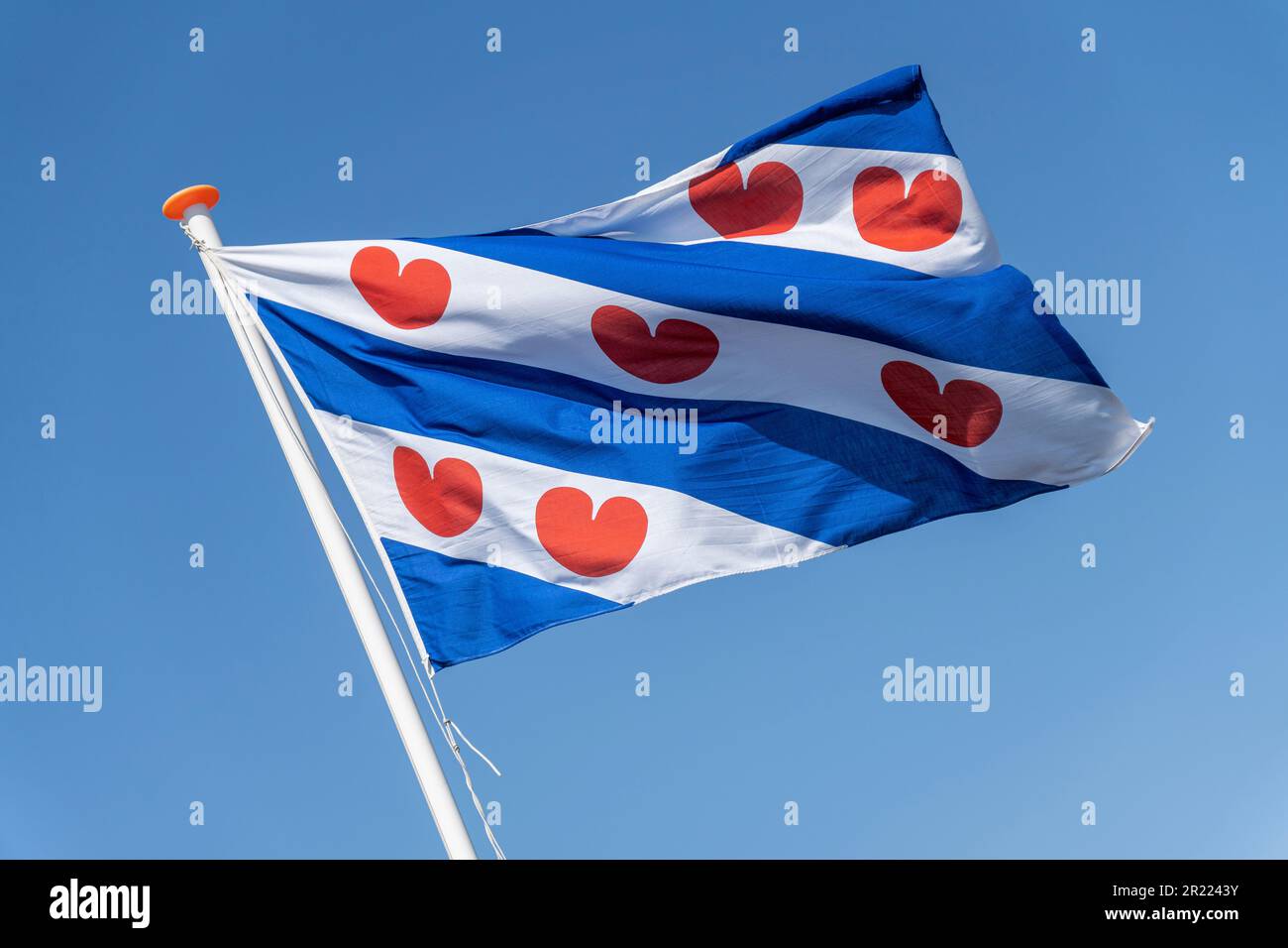 Flagge der niederländischen Provinz Friesland, die im Wind fliegt Stockfoto