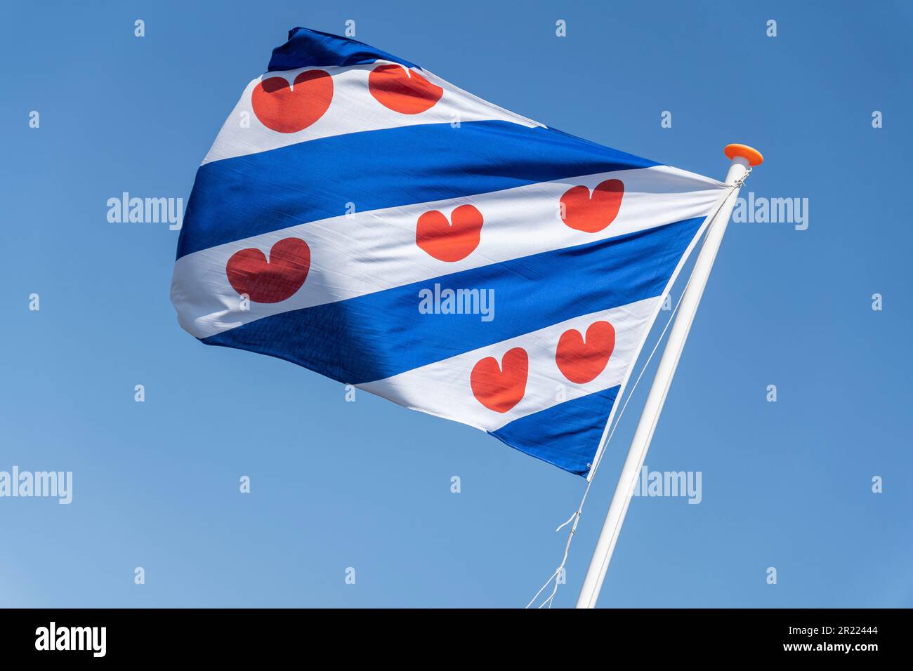 Flagge der niederländischen Provinz Friesland, die im Wind fliegt Stockfoto