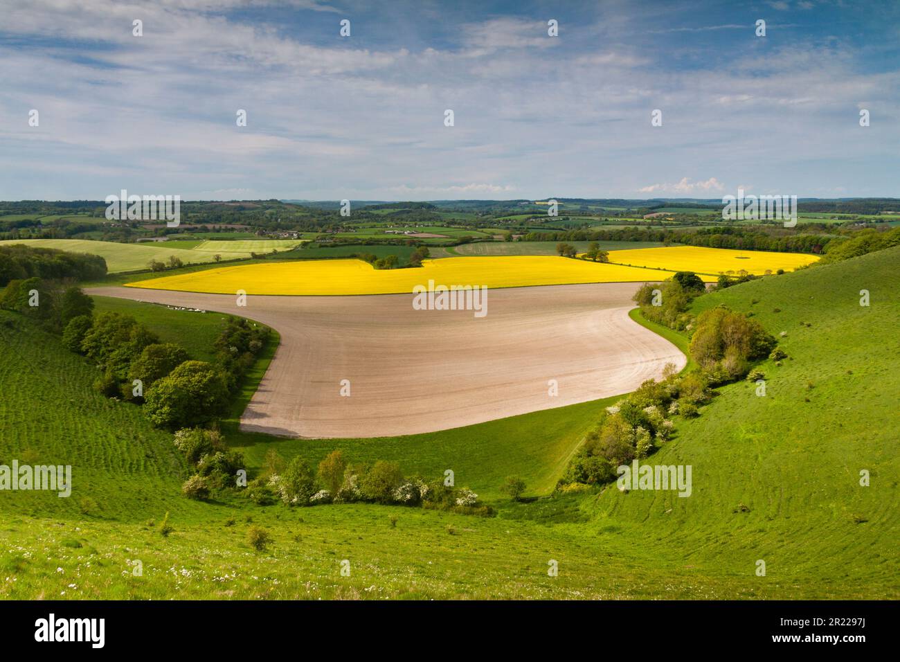 Der spektakuläre Blick nach Norden von Win Green, Wiltshire über Cranborne Chase, eine Gegend von herausragender natürlicher Schönheit (AONB) Stockfoto