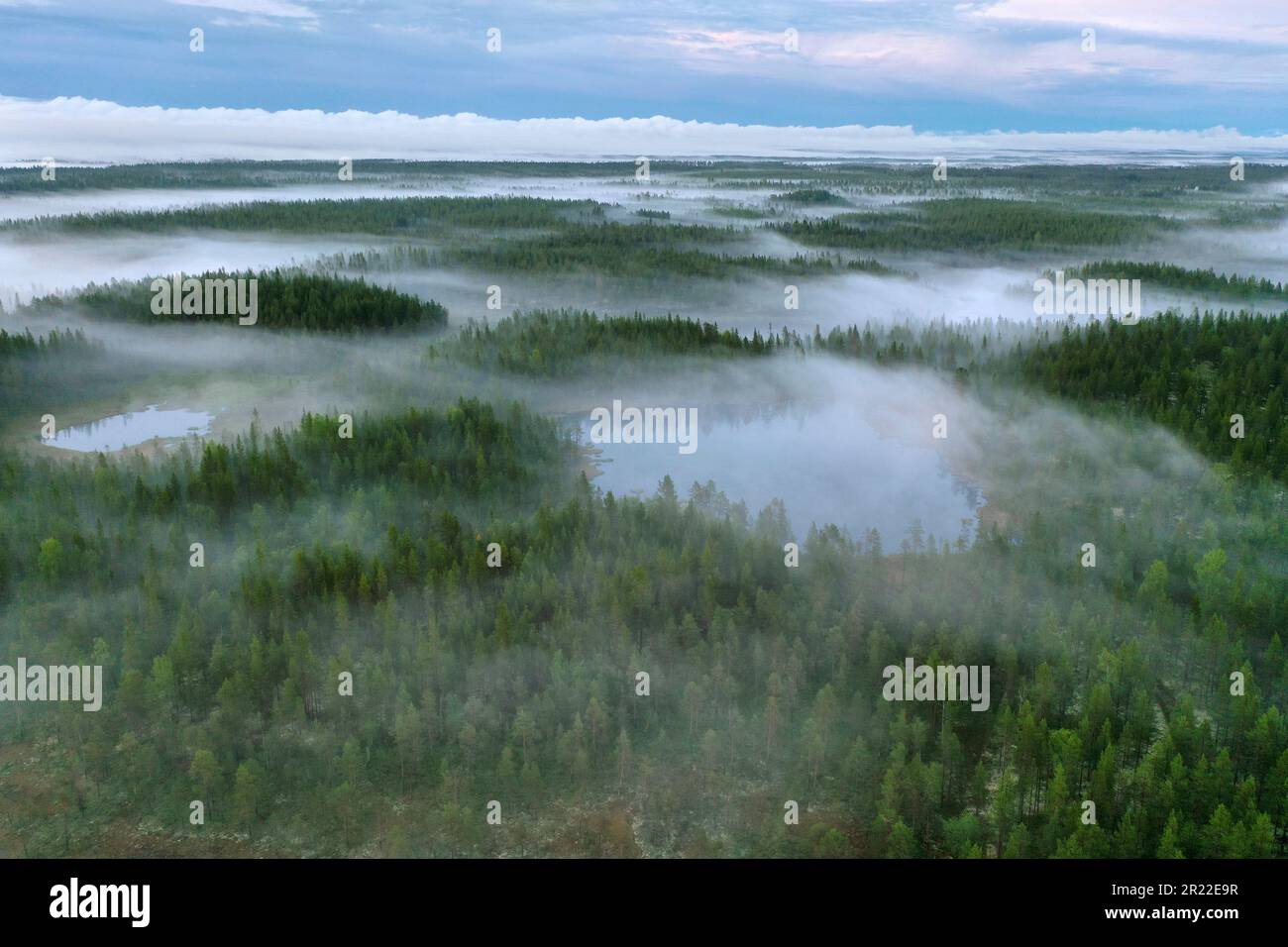 Taiga mit Nadelwäldern und Teichen in der Region Aelvdalen, Panoramablick, Schweden Stockfoto