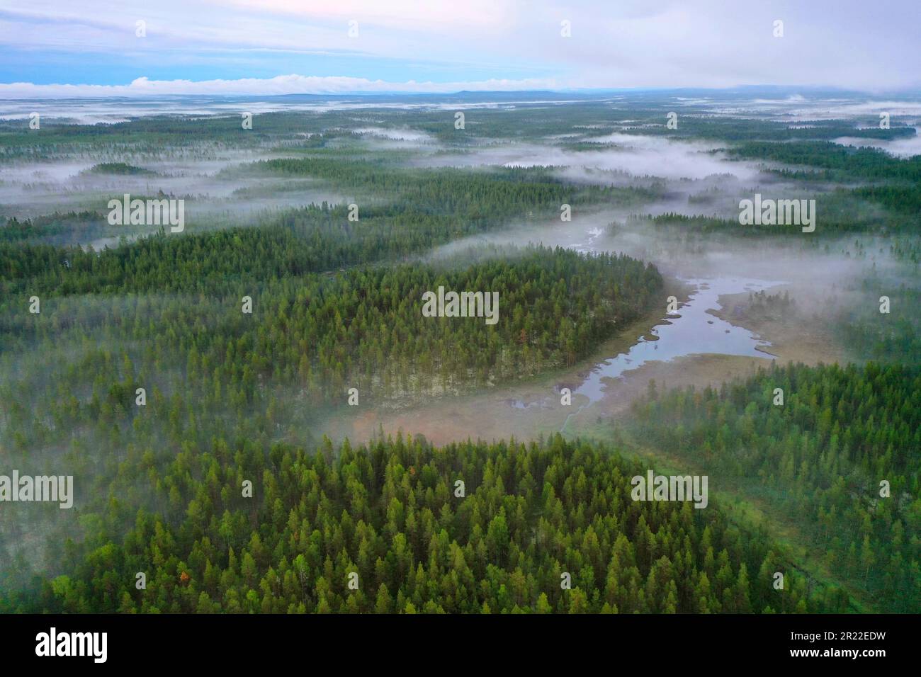 Taiga mit Nadelwäldern und Teichen in der Region Aelvdalen, Panoramablick, Schweden Stockfoto