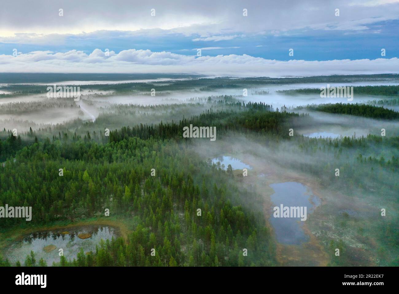 Taiga mit Nadelwäldern und Teichen in der Region Aelvdalen, Panoramablick, Schweden Stockfoto