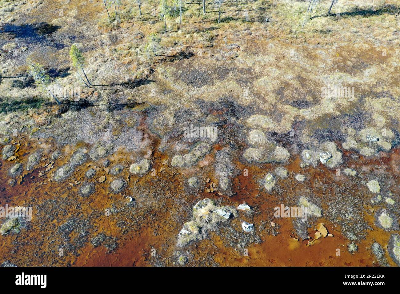 Teich im Sumpf, Luftaufnahme, Schweden, Lappland, Kiruna Stockfoto