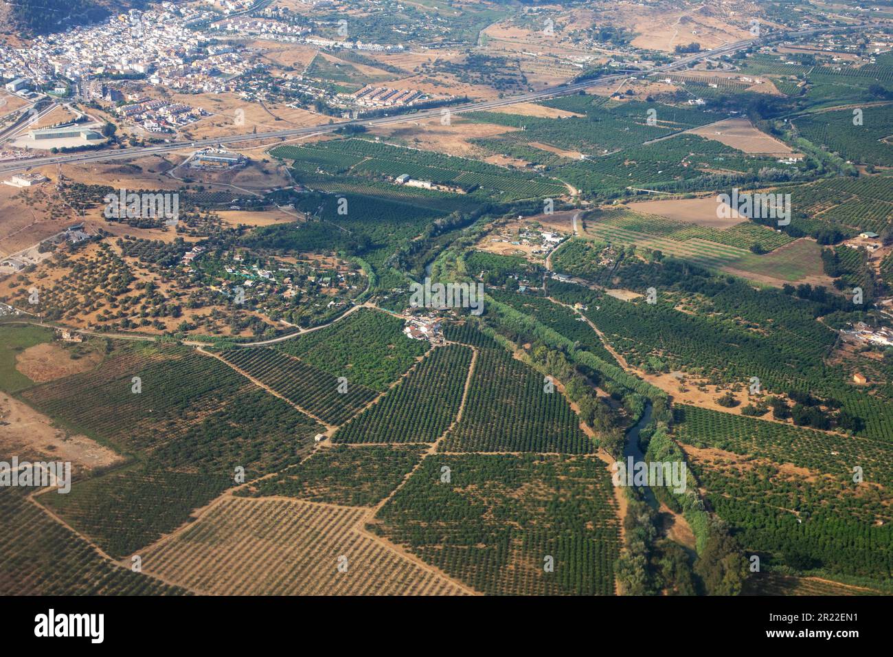 Olivenhaine eine Feldlandschaft nördlich von Malaga, aus der Vogelperspektive, Spanien, Andalusien Stockfoto