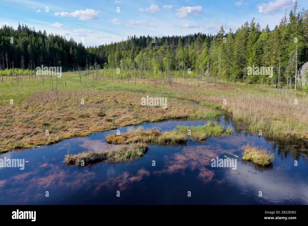 Sumpf in Zentralschweden. Luftaufnahme, Schweden, Vaermland Stockfoto